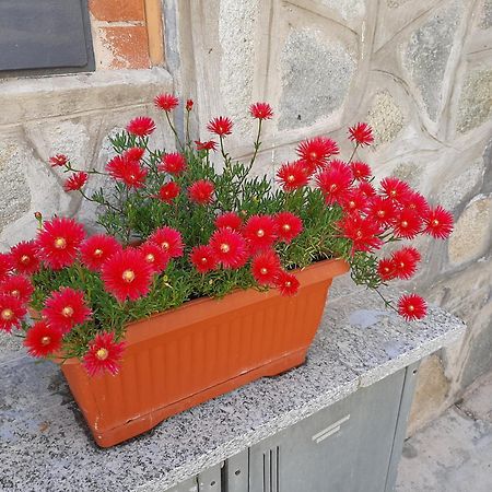 House Vittone Venaria Reale 아파트 외부 사진