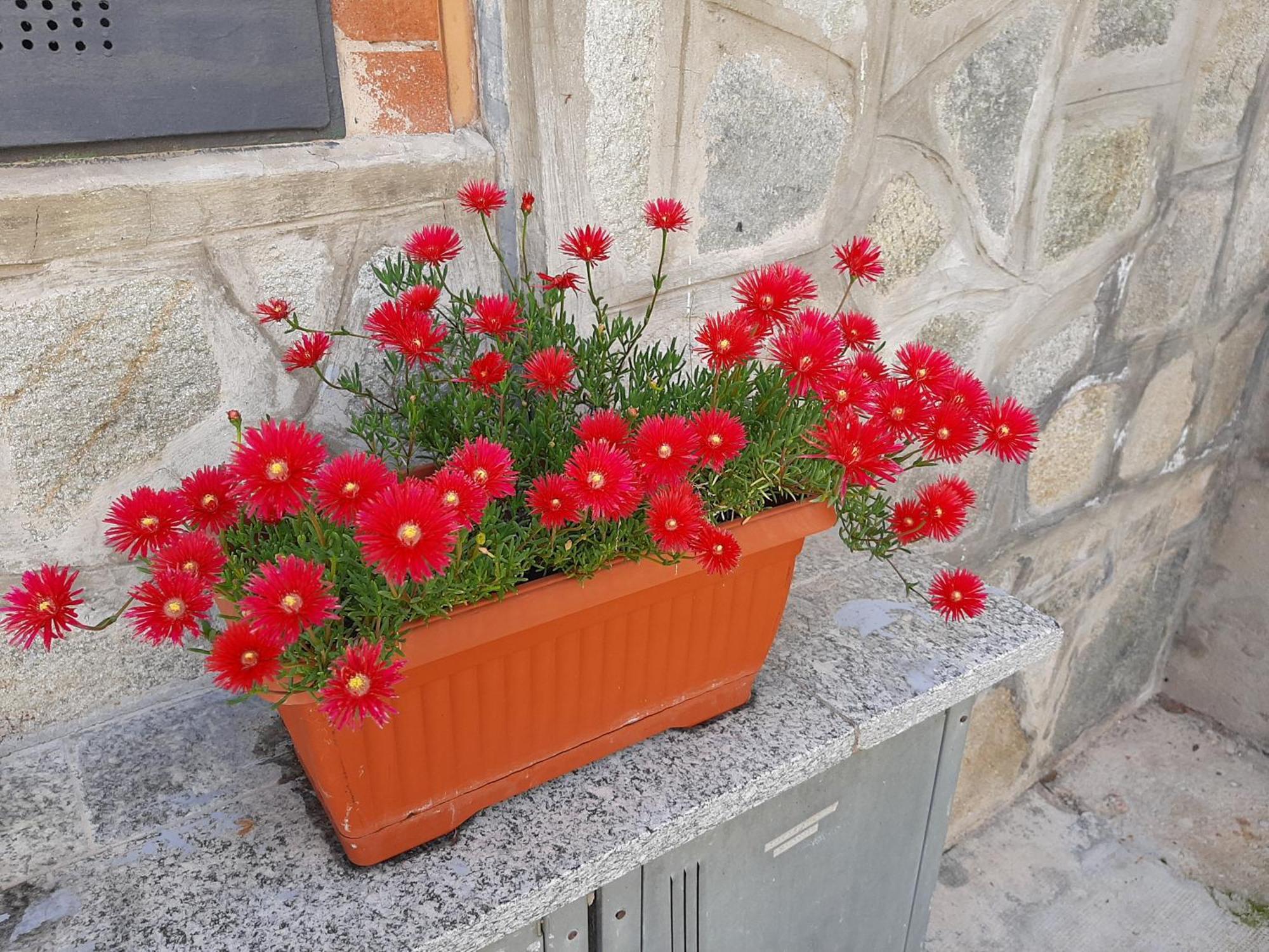 House Vittone Venaria Reale 아파트 외부 사진